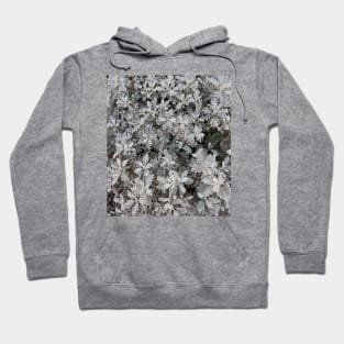 White Bloom Photography My Hoodie